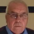 David McAulay