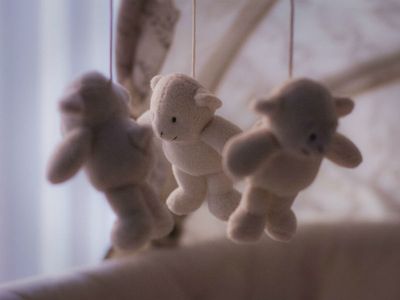 Supporting parents affected by stillbirth or neonatal loss