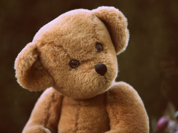 child funeral poems - picture shows a teddy bear