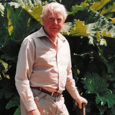 Alan Wood