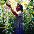 Ethelda Jennifer Bailey