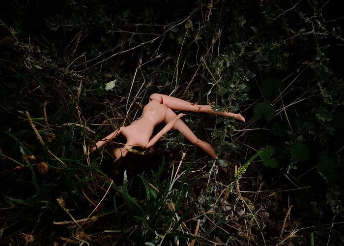 Doll lying in the grass
