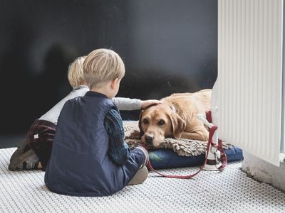 Dogs at Funerals: Grief-Therapy Dogs and Pet Therapy at Funerals