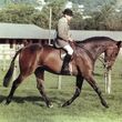 John  Honeyball