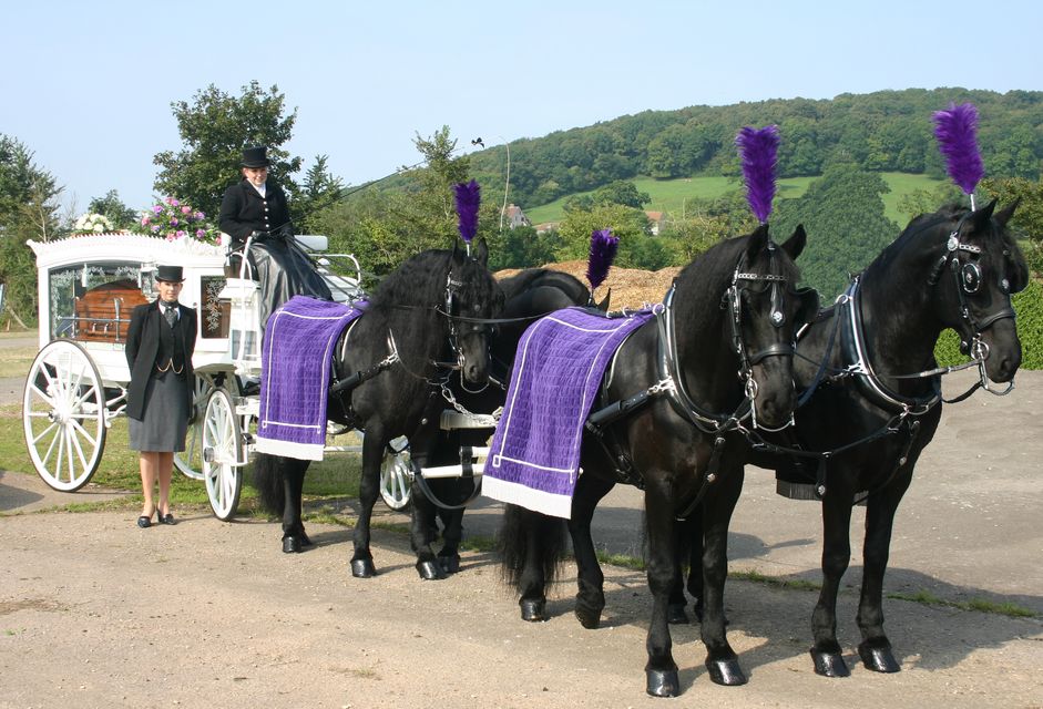 Arthur E Davey & Sons