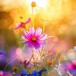 Denise Joan Brocklesby 'Mormor'