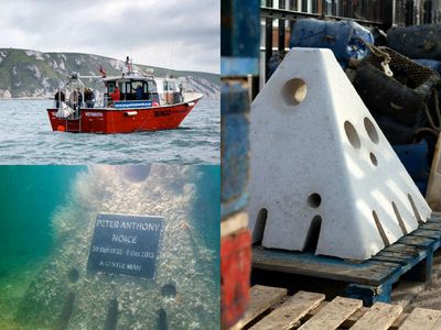 Solace Reef: A cemetery on the sea floor