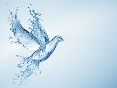 Resomation: What is Alkaline Hydrolysis or Water Cremation?