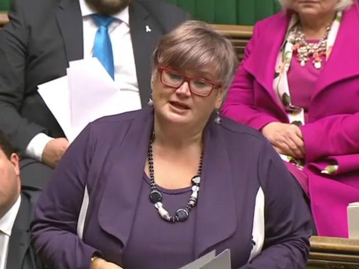 MP Carolyn Harris speaking in the House of Commons