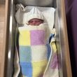 Wren   Margaret Allsop
