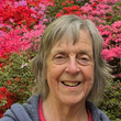 Margaret Mercer