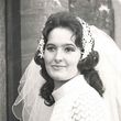 Pauleen   Lincoln