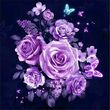 Rosa Northey