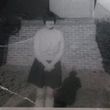 Barbara June Hercock