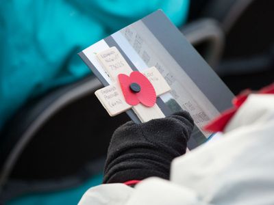 Armistice Day at the Armed Forces Memorial