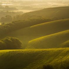 Stuart Gillespie
