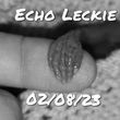 Baby Echo Mark Graham John   Leckie