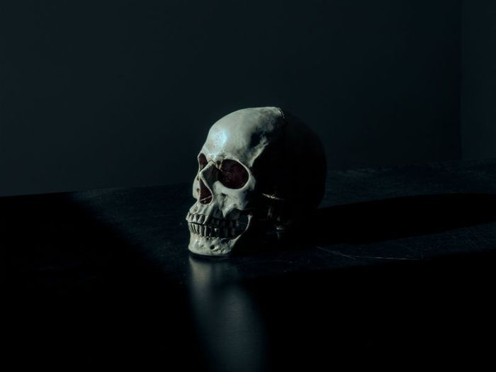 Photo by Mathew MacQuarrie on Unsplash