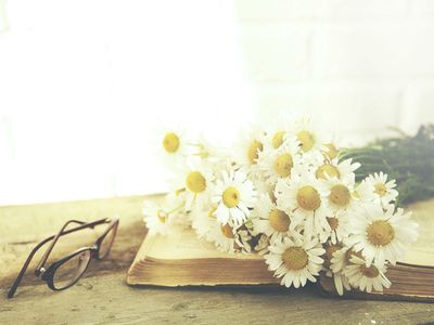 Funny funeral poems and uplifting verses for a celebration of life