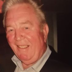 Michael Curtis