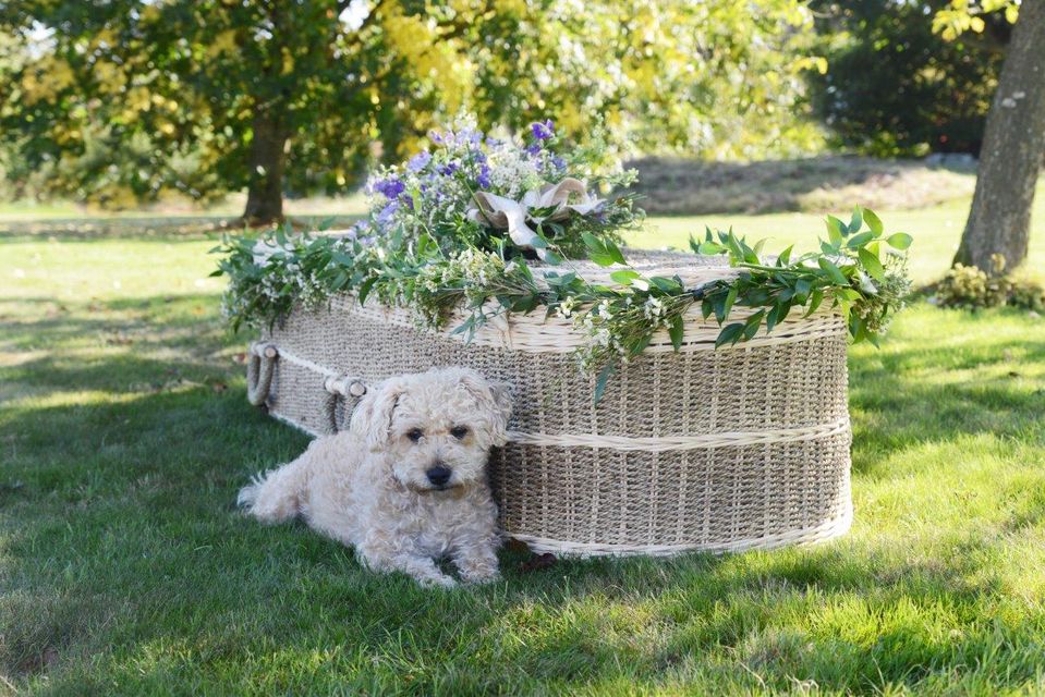 RIP Pix the bereavement dog
