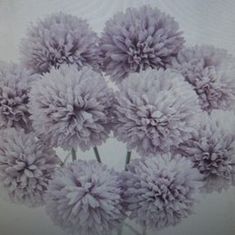 Mary Hescott