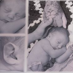 Casius-Lucas McKenzie Prior