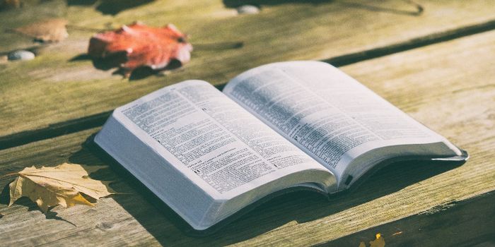 An open Bible