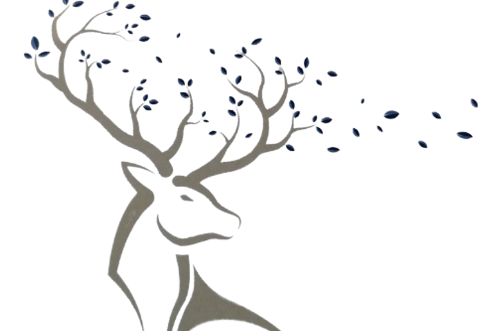 New Forest Funerals