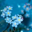 Janet Malvena Goodhand 'Jan'