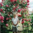 Joyce Mildred   Willing