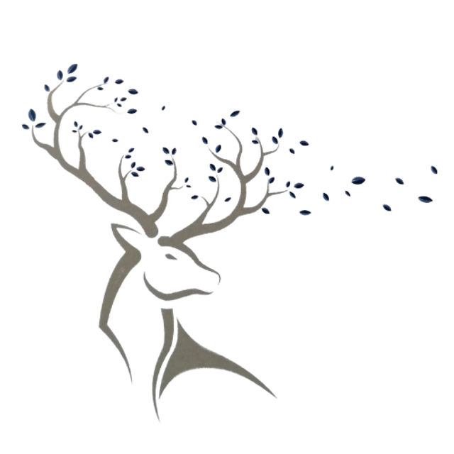 New Forest Funerals, funeral director in Hampshire