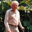 Alan Wood