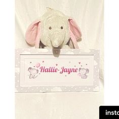 Baby Hallie-Jayne Nell Kompaniez Thomas