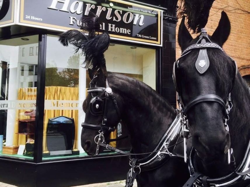 Horse hearse outside Harrison Funeral Home Winchmore Hill