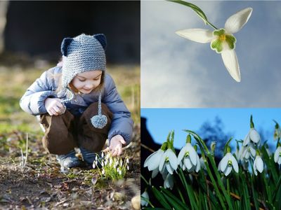 Join a snowdrop walk in memory of someone you loved