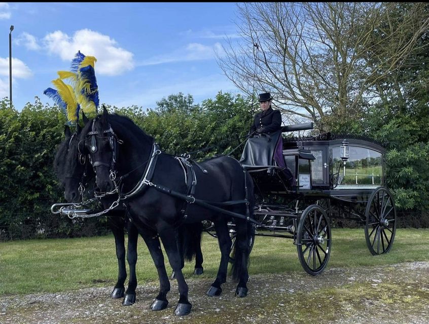 Traditional Horse Drawn Carriage