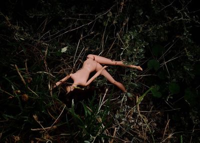 Death Anxiety in a Plastic World