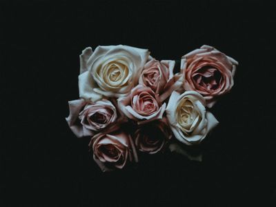 What Do Different Funeral Flowers Mean?