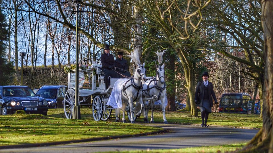 Horses from &pound;995 for 2 - &pound;1800 for 4 - &pound;2,600 for 6