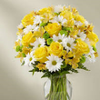 Joycelyn Phyllis  Cane