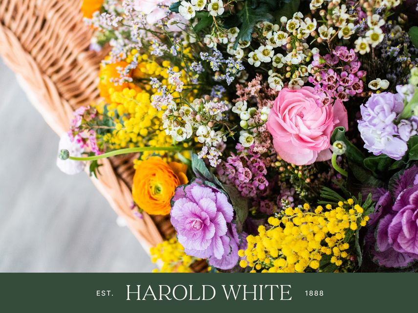 Harold White Independent Funeral Directors Limited, South Chingford, funeral director in London