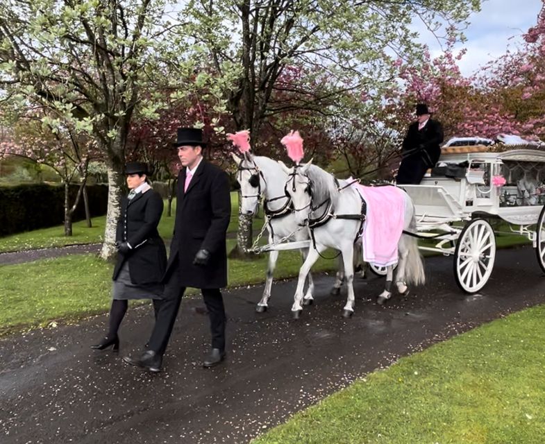 Horse Drawn Hearse