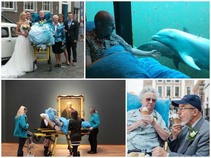 People fulfilling their last wish - attending a grandchild's wedding, seeing dolphins, visiting an art gallery and eating an ice cream
