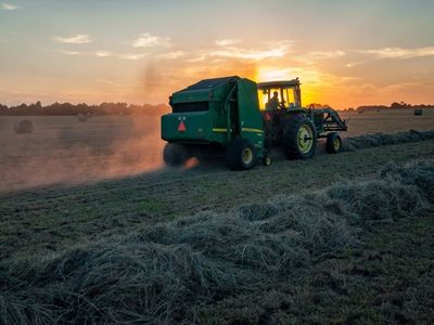A lonely business: Death and coping with grief on the farm