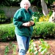 Sheila   Rosemary Betty Summers