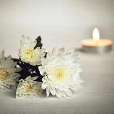 Sylvia Doreen Fletcher