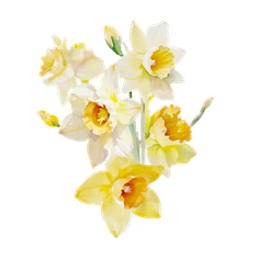 Lilian Hutchings