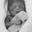 Sebastian George Harman