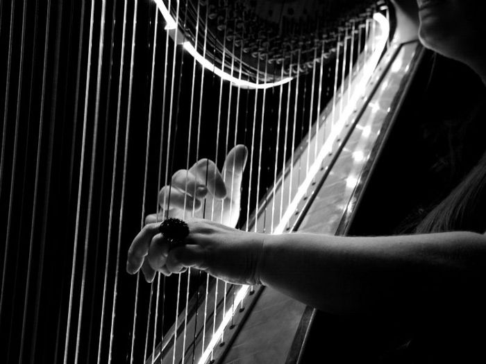 Musician playing the harp